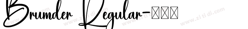 Brumder Regular字体转换